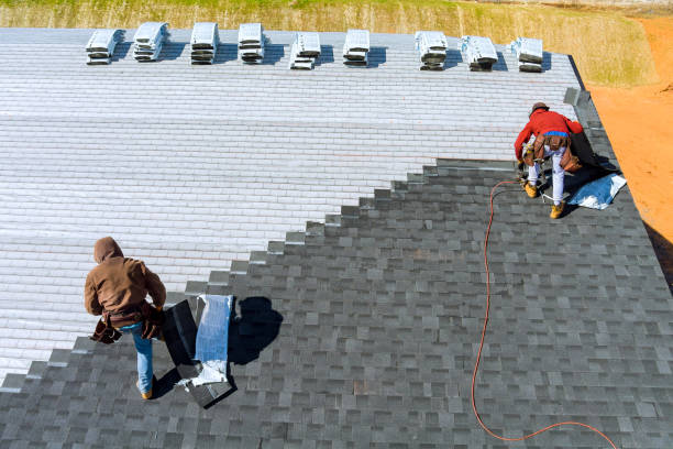 Best Gutter Installation and Repair  in Columbus, MN