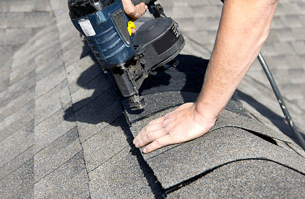 Best Roof Coating and Sealing  in Columbus, MN